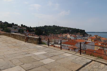 Prenova tlaka na Adamičevi ulici v Piranu I Rinnovo della pavimentazione di Via Adamič a Pirano (1)